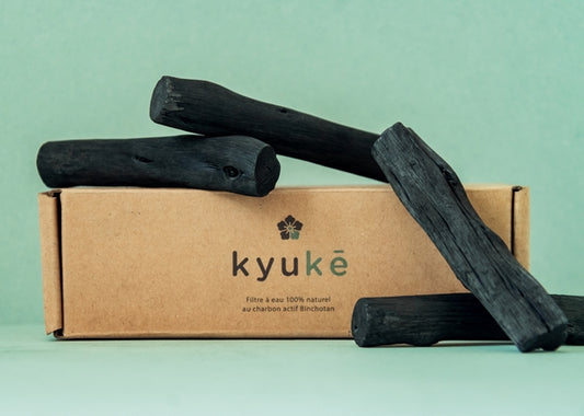 Charbon actif Binchotan s pour carafe 1l - 1
